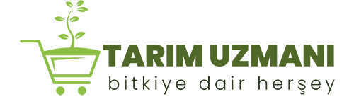 Tarım